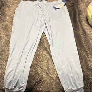 Light Blue Jogger Pants